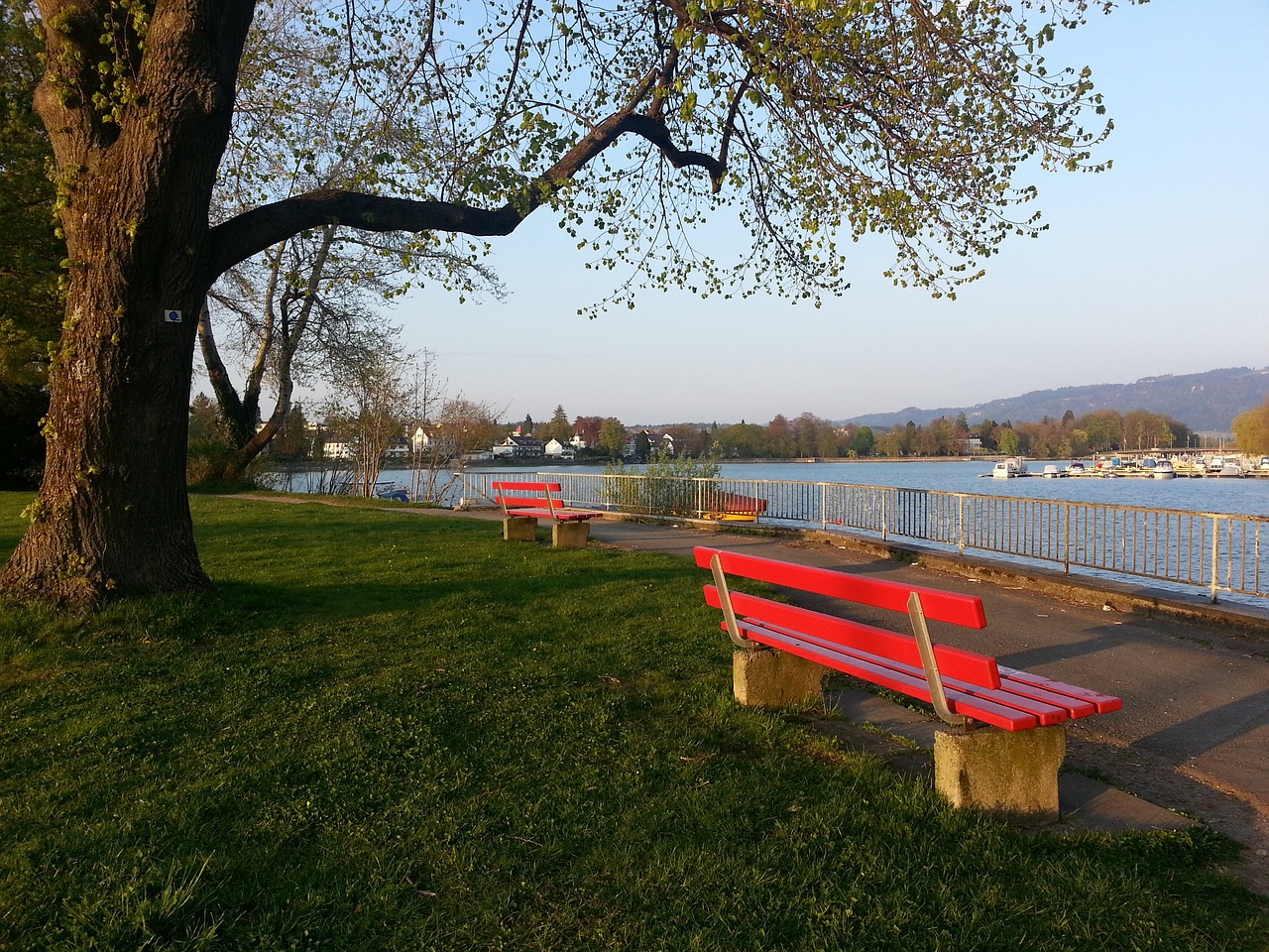 么如此厉害 么如此厉害