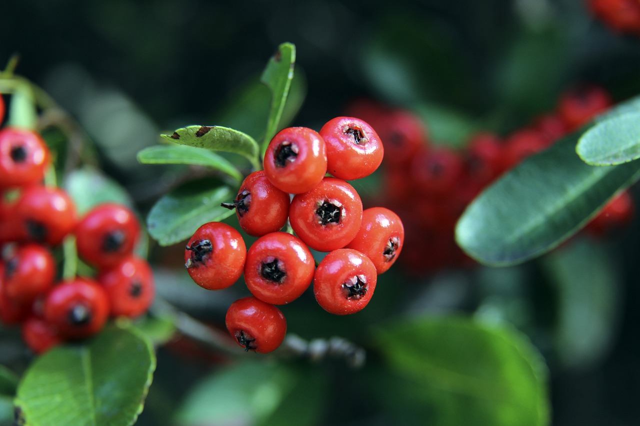 懷抱負的年 懷抱負的年